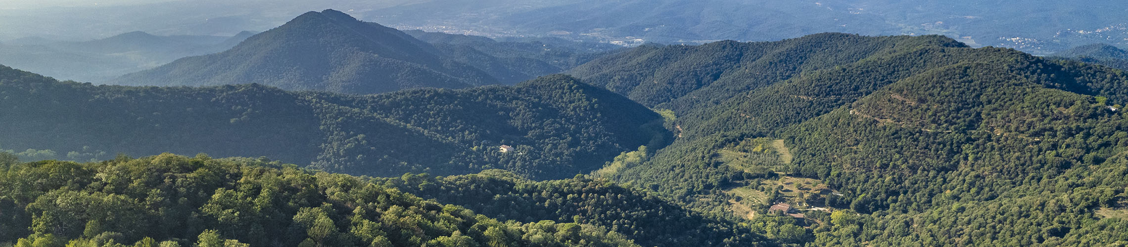 Parc del Montnegre i el Corredor
